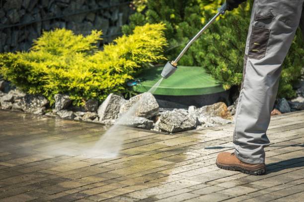 Best Solar Panel Cleaning  in Steele Creek, AK